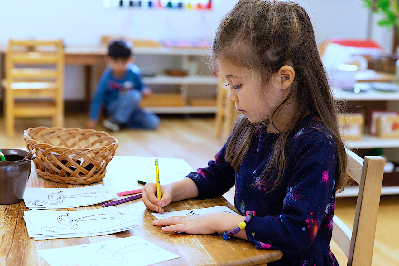 Girl drawing independently