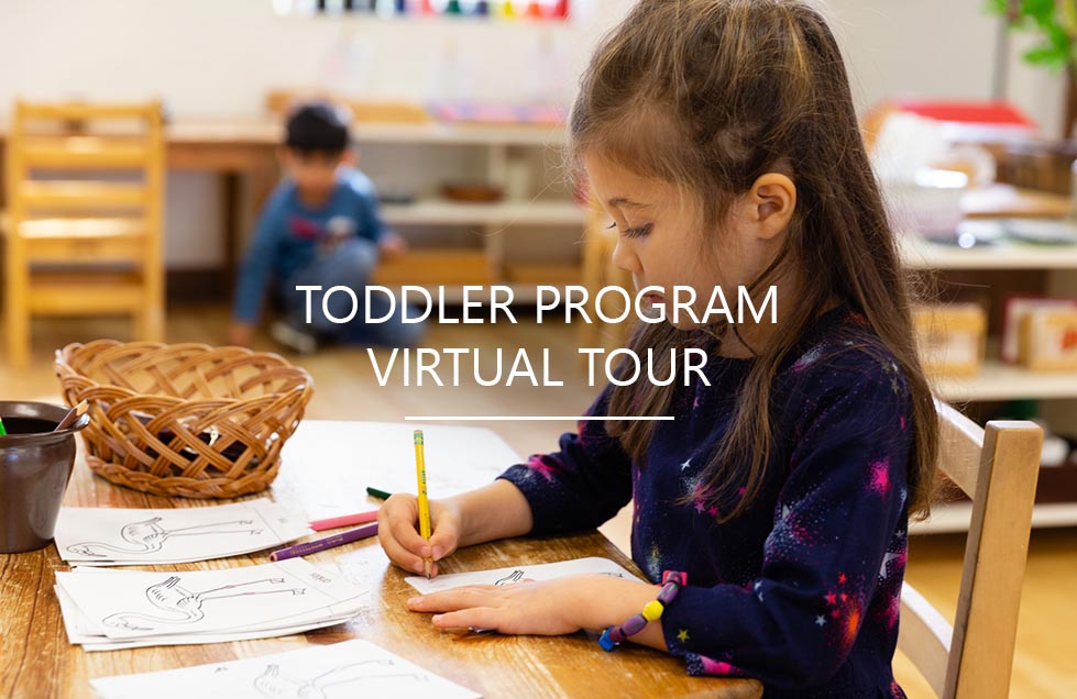 VirtualTour-Toddler