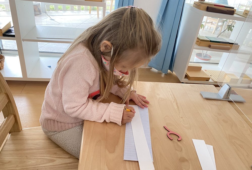 LJMS Chronicles: Sheltering-in-Place