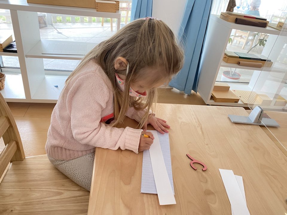 LJMS Chronicles: Sheltering-in-Place