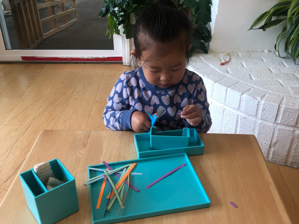 Freedom and Discipline with Toddler at La Jolla Montessori School