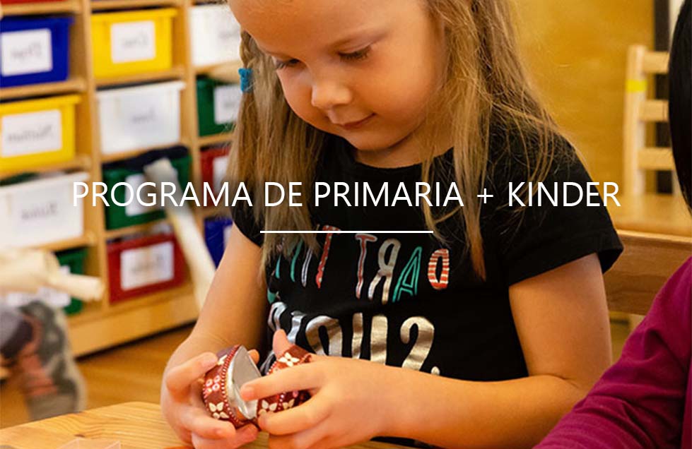 Primary+Kindergarten-1-ES