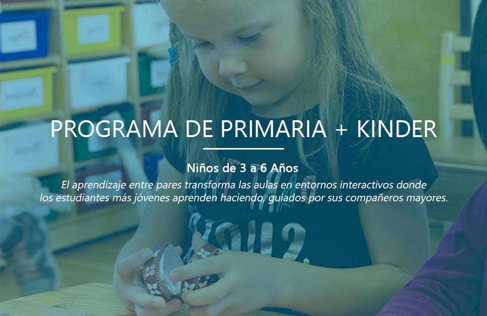 Primary+Kindergarten-2-ES