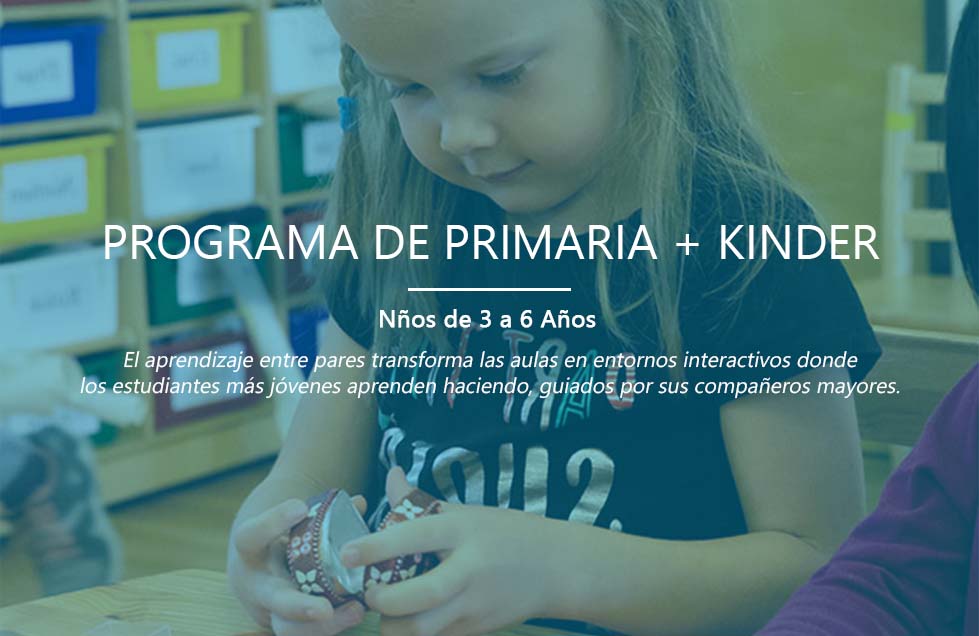 Primary+Kindergarten-2-ES