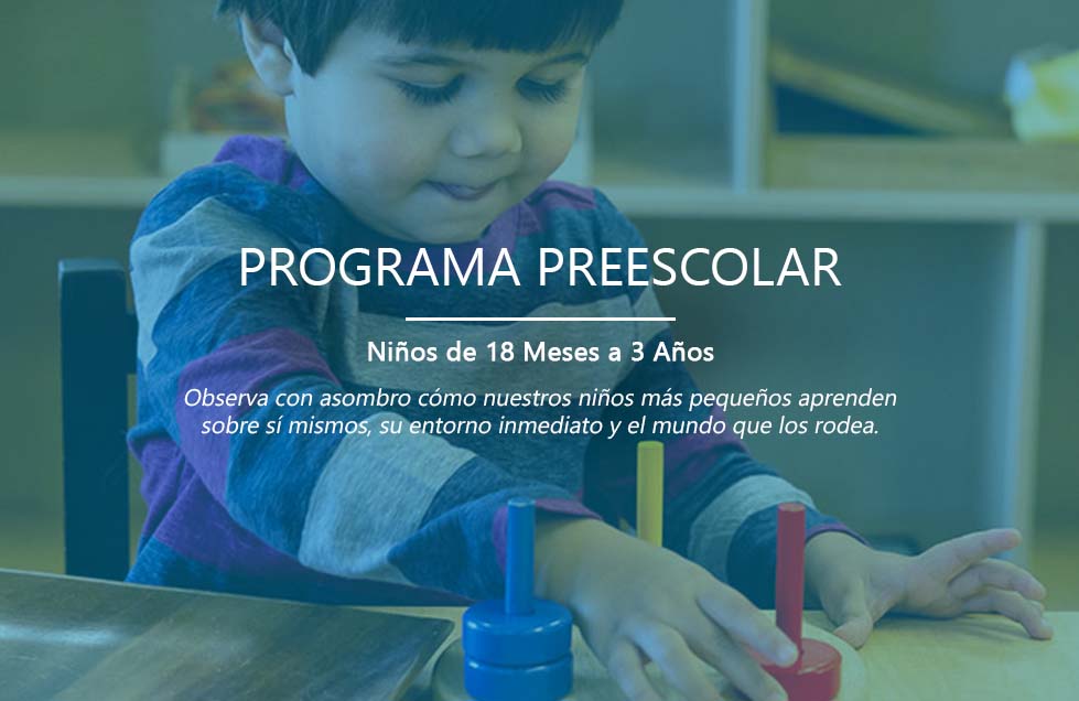 Toddler-program-2-ES