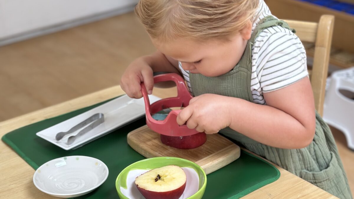 Domando la resistencia de los niños pequeños: Del "¡No!" al "¡Lo hice!" en las aulas de la Escuela Montessori La Jolla