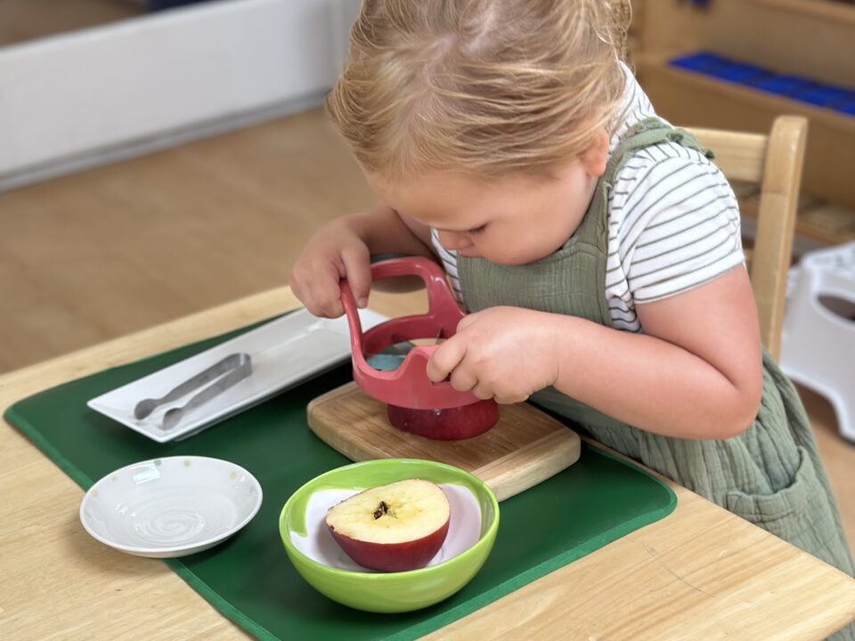 Taming Toddler Resistance: From "No!" to "I Did It!" at La Jolla Montessori School classrooms