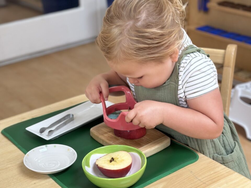 Taming Toddler Resistance: From "No!" to "I Did It!" at La Jolla Montessori School classrooms