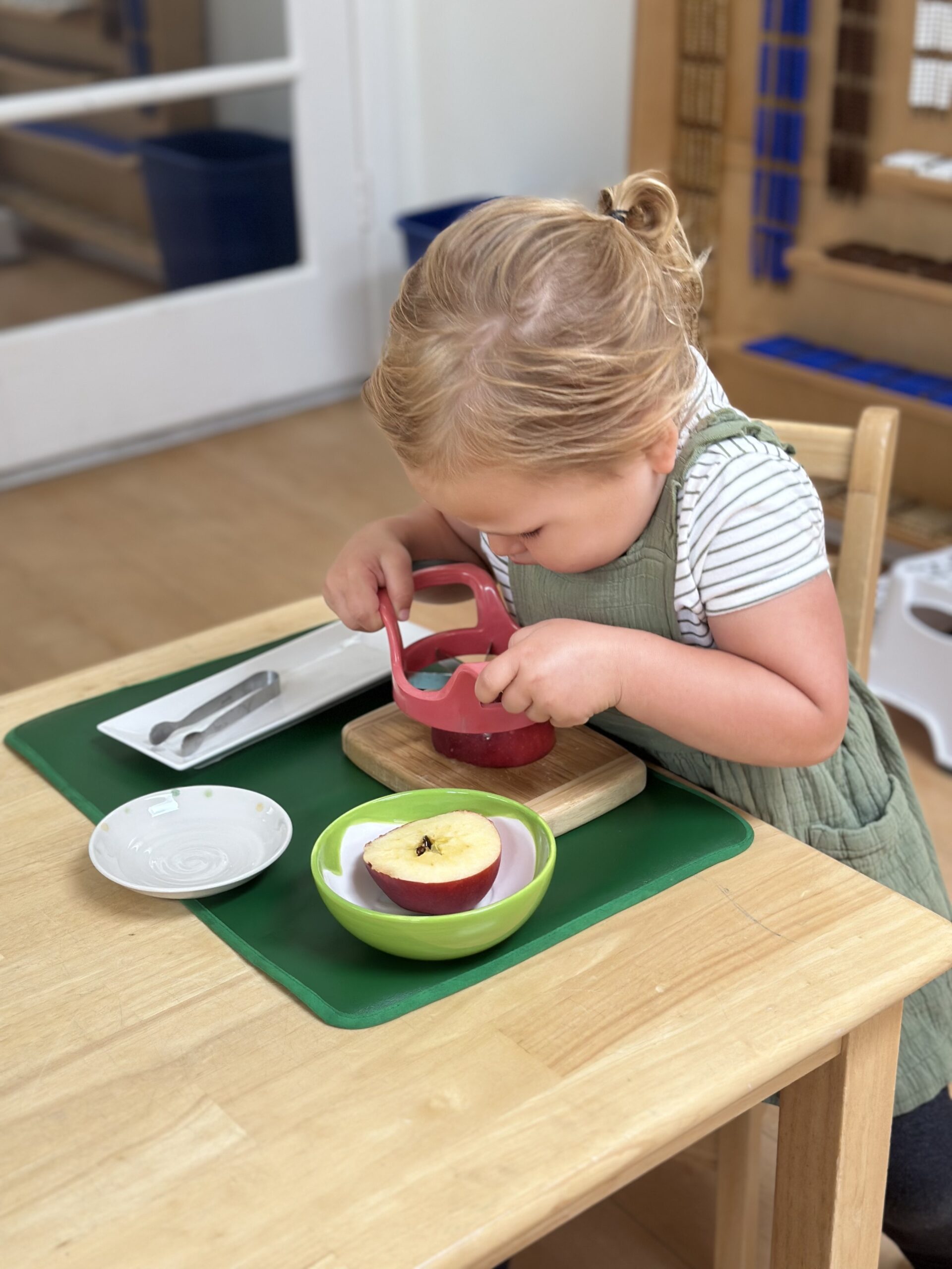 Taming Toddler Resistance: From "No!" to "I Did It!" at La Jolla Montessori School classrooms