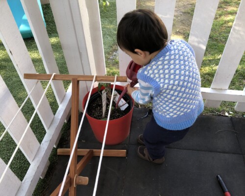 Toddler watering a plant