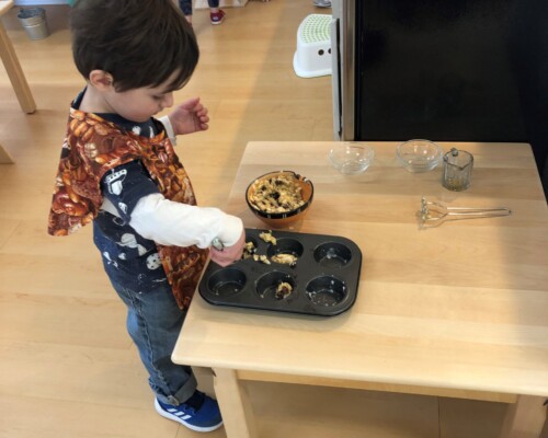 Toddler baking muffins