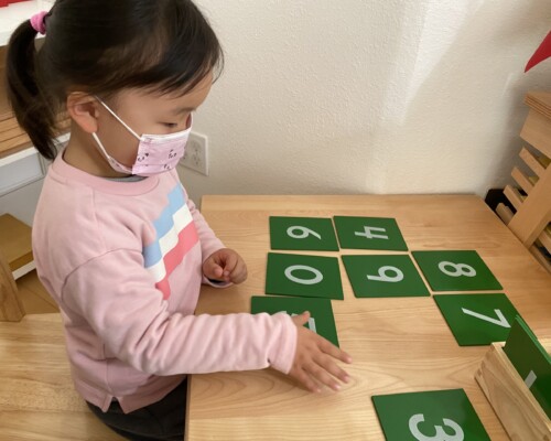 Toddler girl learning math in a Montessori classroom