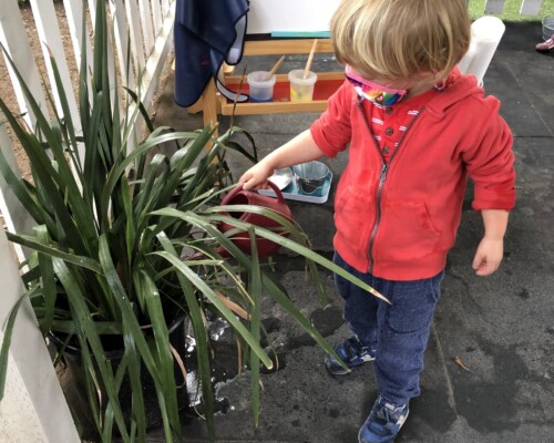 Toddler gardening independently at a Montessori preschool