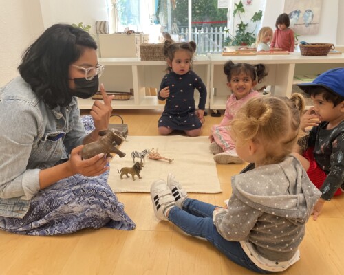 La Jolla Montessori School Animal lesson