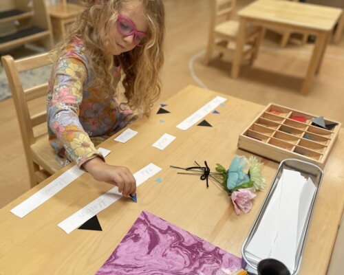Primary Kindergarten Studying the Functions of Words conjunction at La Jolla Montessori