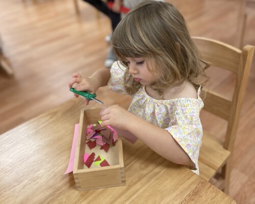 Primary Practical Life Concentration at La Jolla Montessori