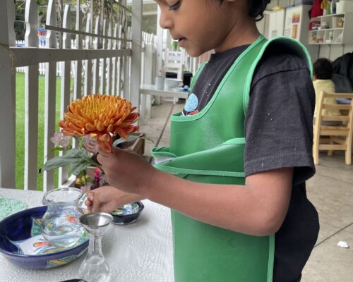 Vida Práctica Primaria Fundamentos de Botánica en La Jolla Montessori