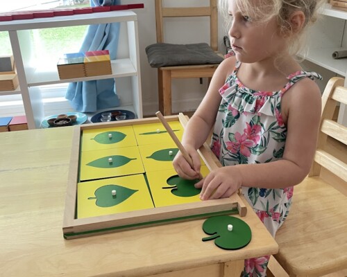 Primary Sensory Puzzles Foundations of Botany at La Jolla Montessori