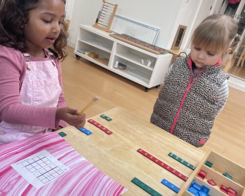Primary Social Development Learning Through Observation at La Jolla Montessori