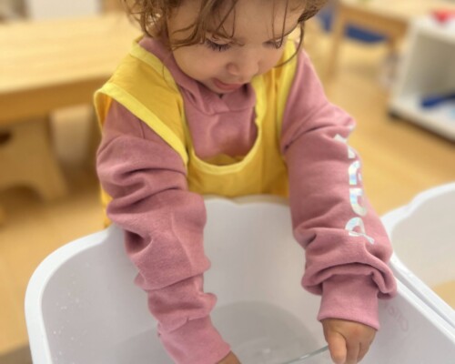 Toddler Care of the Environment Washing Dishes at La Jolla Montessori
