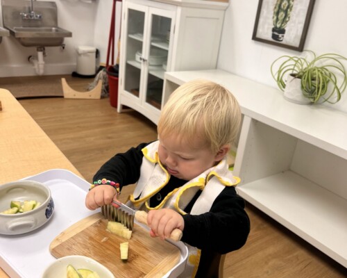 Importance of Family Mealtime
