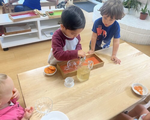 Toddler Practical Life Preparing Flavored Water for Lunch at La Jolla Montessori