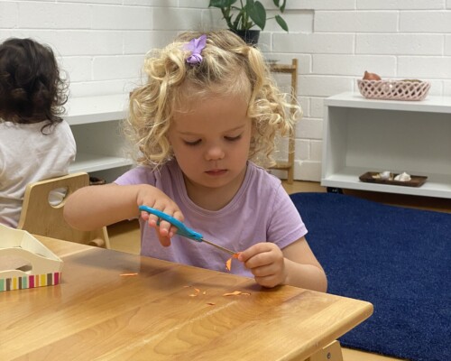 How to properly hold scissors Preschool
