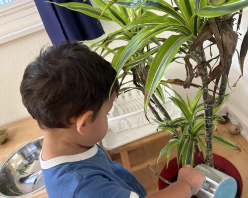 Toddler - Care the Environment at La Jolla Montessori