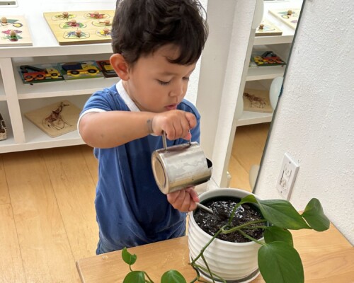 Toddler - Care the Environment at La Jolla Montessori