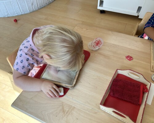 Toddler - Practical Life Looking at reflection at La Jolla Montessori