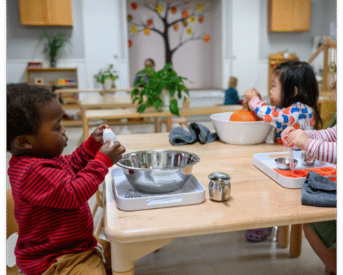Montessori Infant Nido Program at La Jolla Montessori School in San Diego, CA